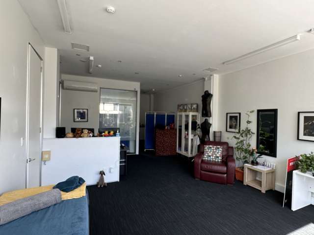 25 Dixon Street Te Aro_2