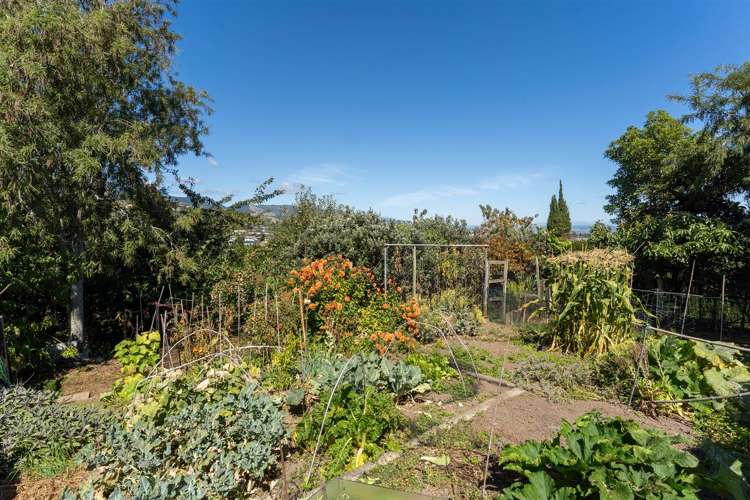 20 Douglas Road Wakatu_13