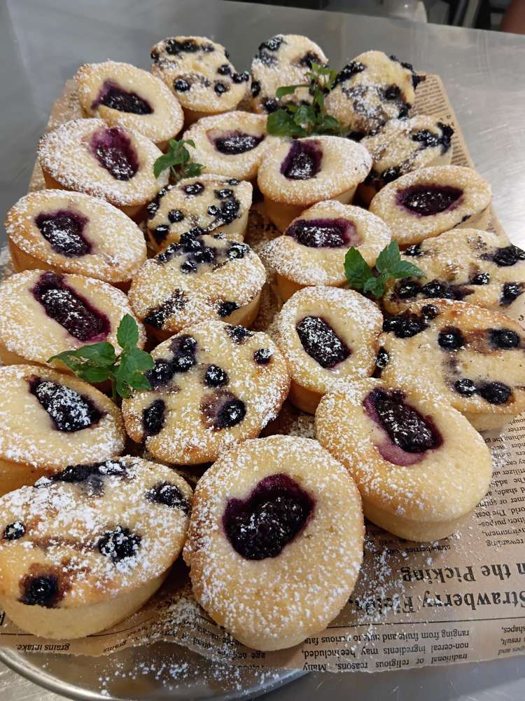 124 Palmerston Street Westport_12