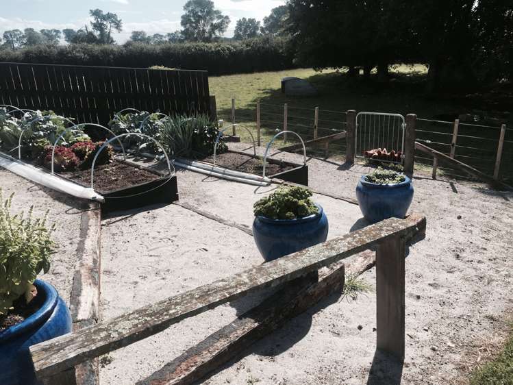 35 Pinedale Road Lichfield_13