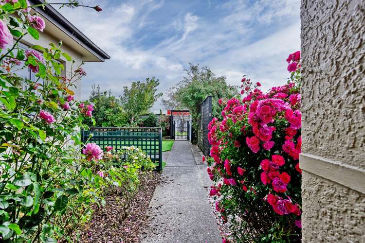 171 Chelmsford Street Windsor_23