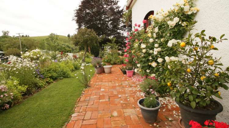 20 Canna Street Lawrence_15