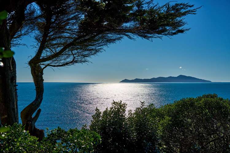 43 Haunui Road Pukerua Bay_3