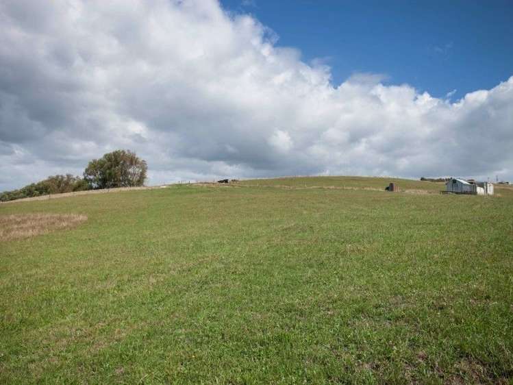 137 Sanson Road Ruawaro_4