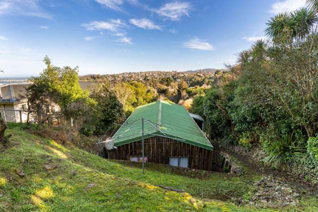 70 Orbell Street Dalmore_1