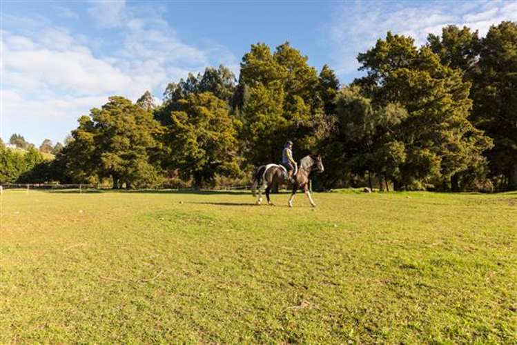 72a Eighty Eight Valley Road Wakefield_18