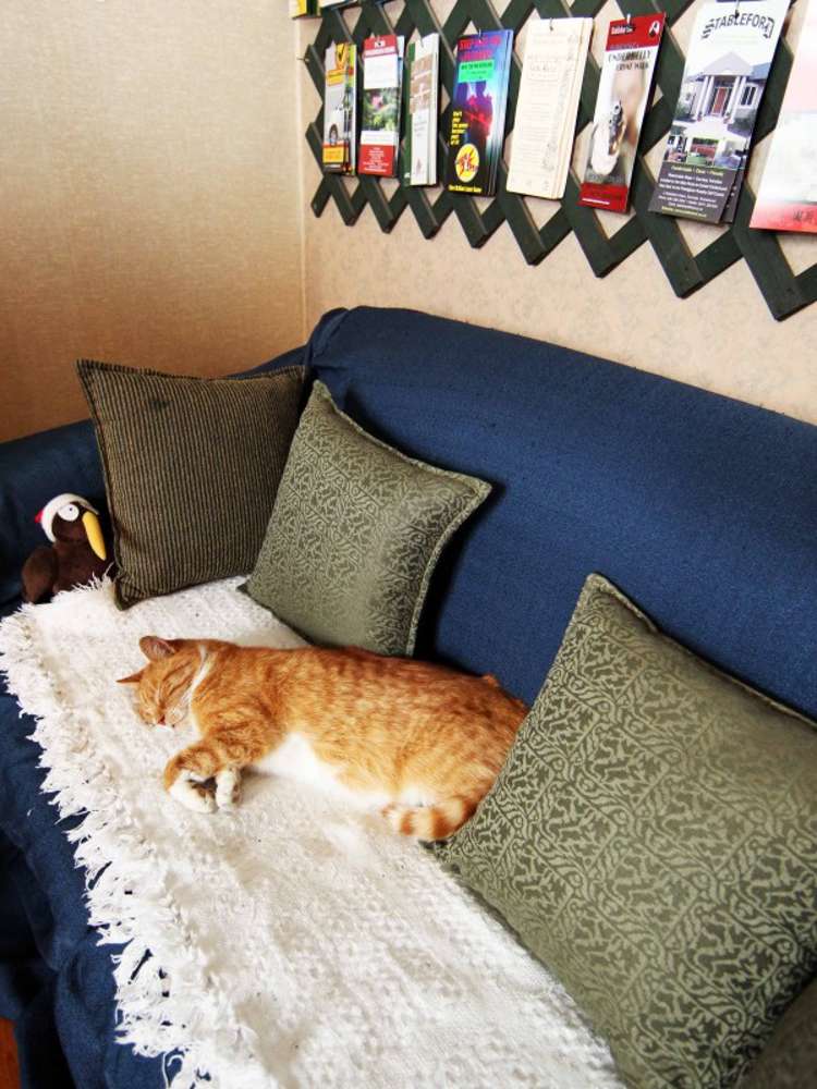 52 Tennyson Street Dunedin Central_21