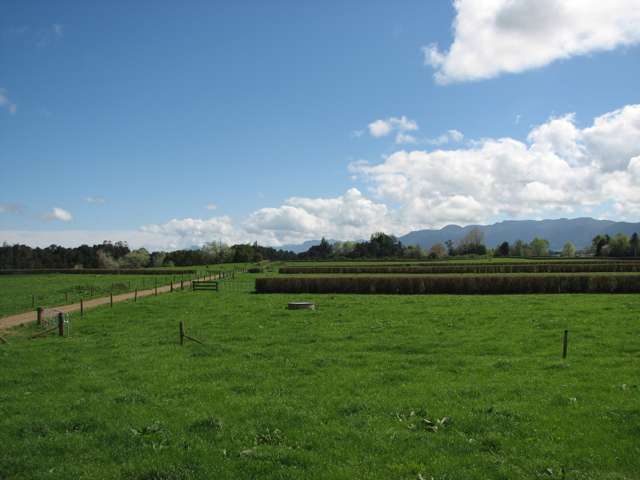 205 Taihoa North Road Matamata_4