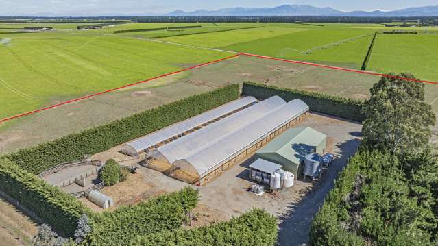 391 Sharlands Road Dunsandel_2