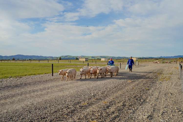 724 Medbury Road Hawarden_4