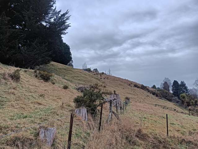 24 Campbelton Street Lawrence_4