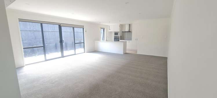 93 Cobham Drive Morrinsville_1