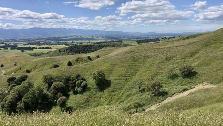 Millars Road Carterton_2