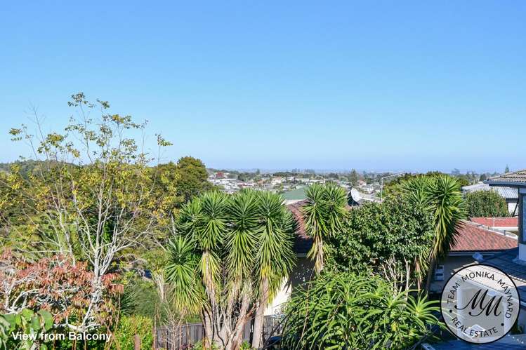 36 Eugenia Rise Totara Heights_4