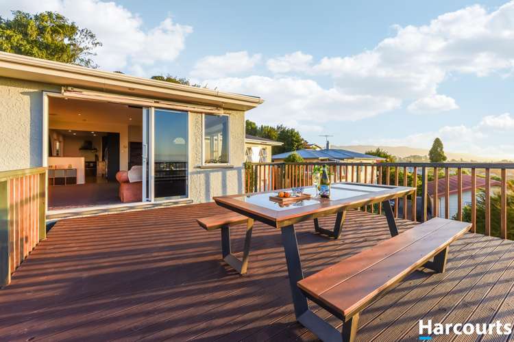 569 Waimea Road Annesbrook_2