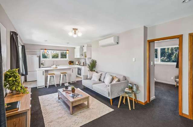 47 Middlepark Road Upper Riccarton_2