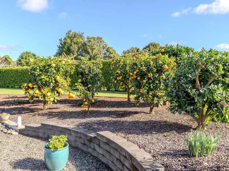12 Edkins Road Kerikeri_20