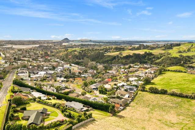 23 Upper Ohauiti Road Ohauiti_4