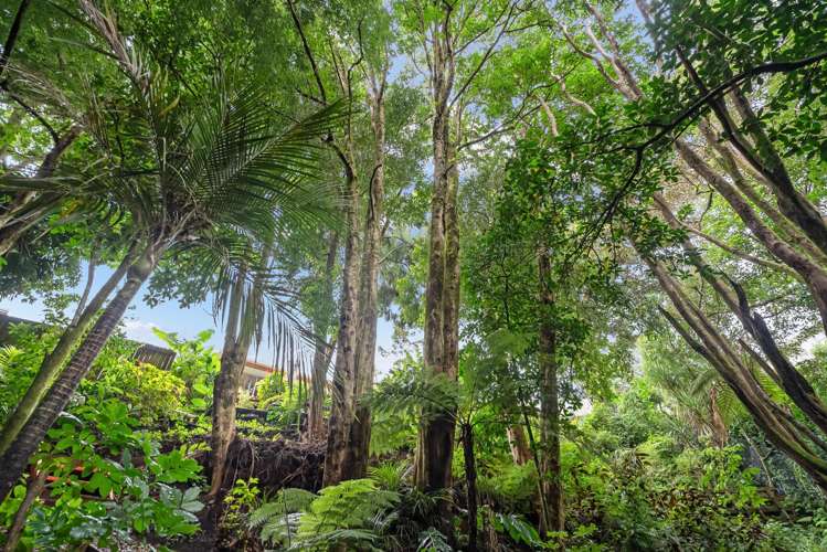 65 Russell Road Kensington_18