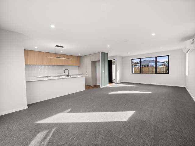 22a Turton Street Allenton_4