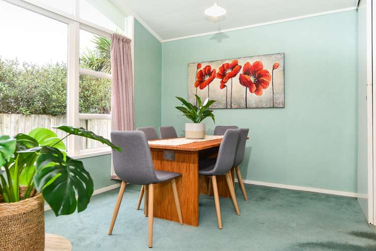 49 Mckay Drive Temple View_13