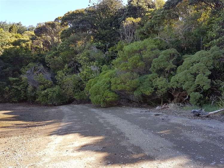 Torea Moua Bay Marlborough_12