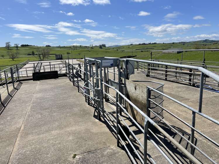 27 Mcrae Road Otorohanga_23