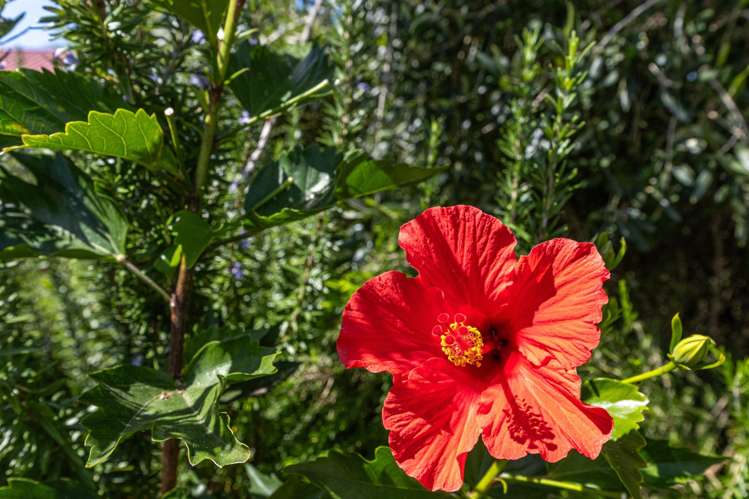 78 Russell Road Huntly_33