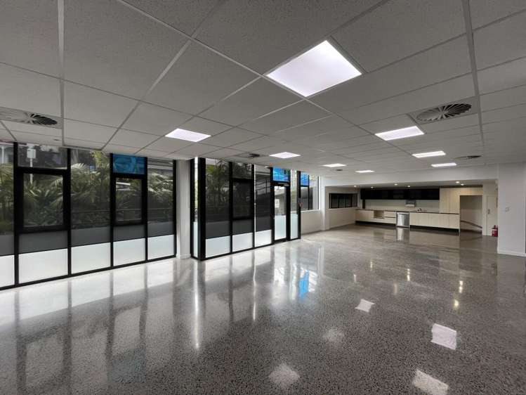 4 Murdoch Road Grey Lynn_15