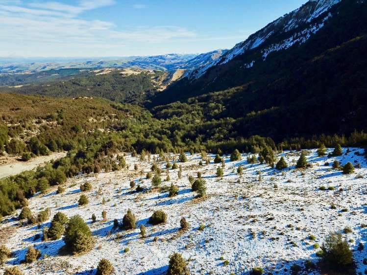 101 Mount Lyford Forest Drive Lyford_4