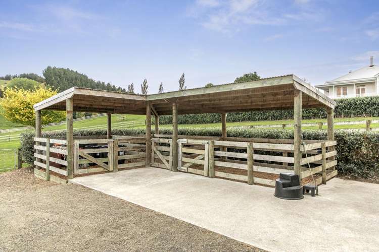 1/187 Judge Road Rotoorangi_31