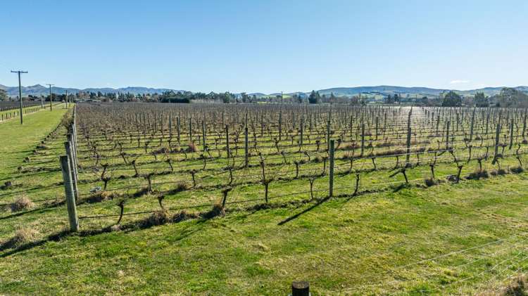 148 Omihi Road Waipara_10