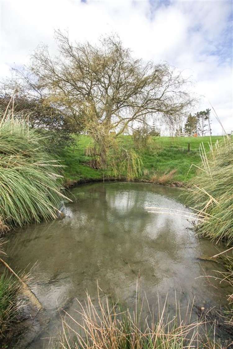 73 Rotongaro Road Rotongaro_32