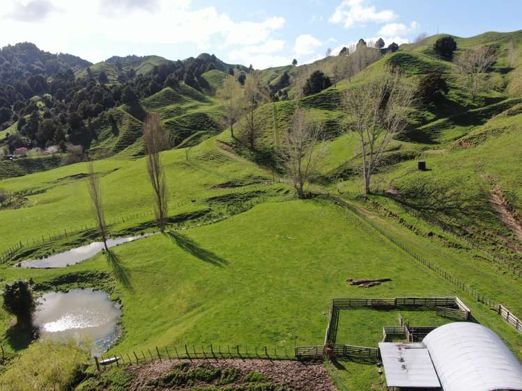 162 Okahukura Saddle Road Taumarunui_22