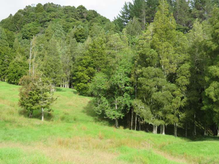 285 Peria Road Peria_17