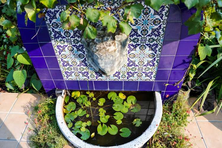 6T Carlton Gore Road Grafton_15