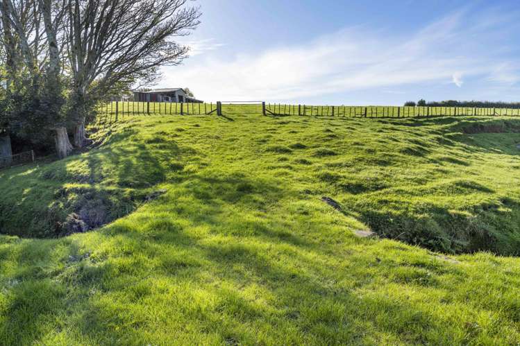 241 Warwick Road Stratford_17