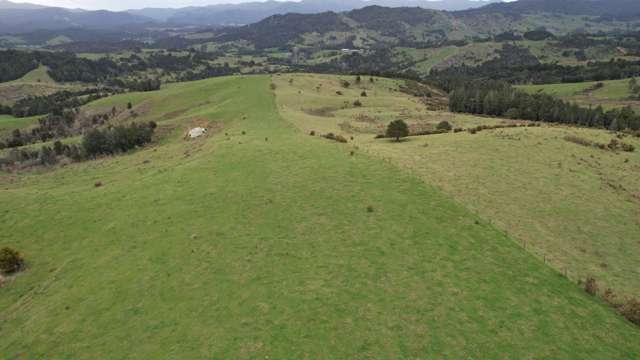 PRICE DROP - 305ha Mangamuka Beef Unit