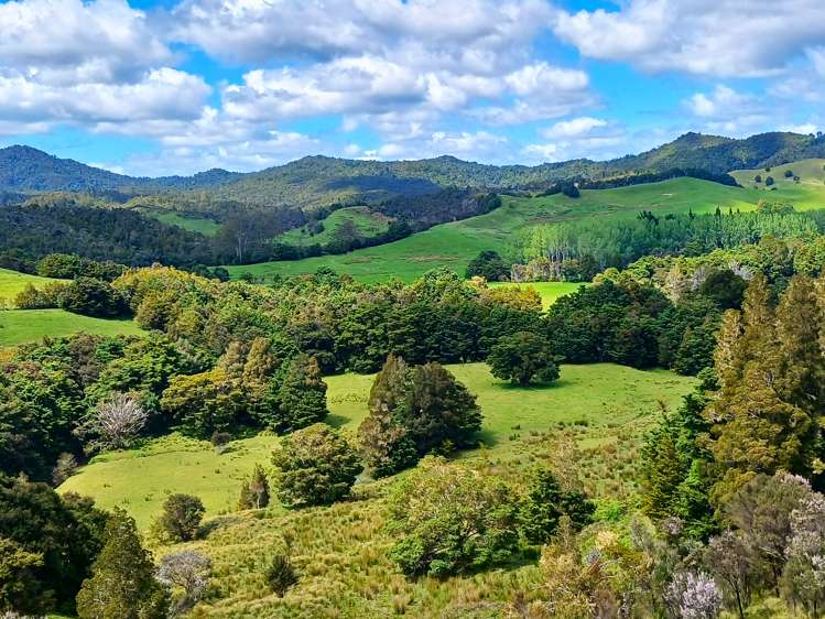 Lot 2 Otangaroa Road Kaeo_13