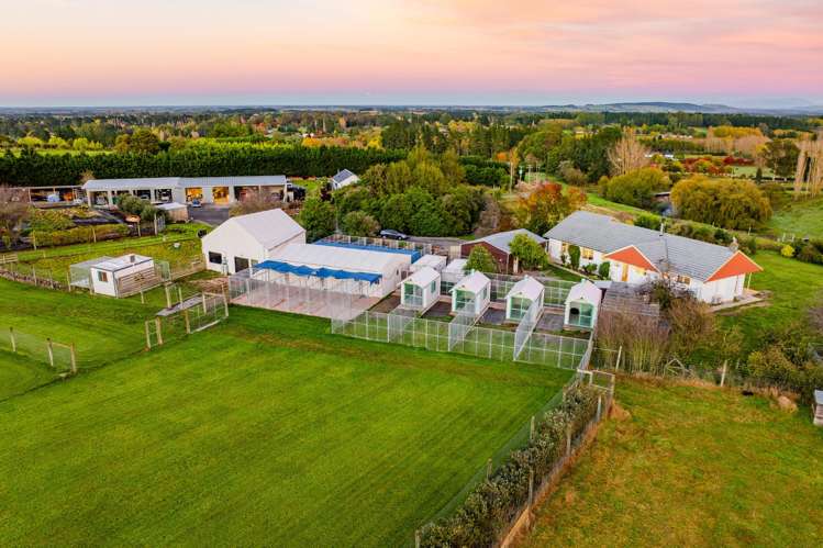 554 Carrs Road Loburn_37