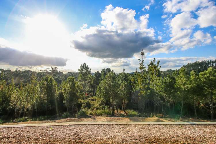 1233 East Coast Road Redvale_17