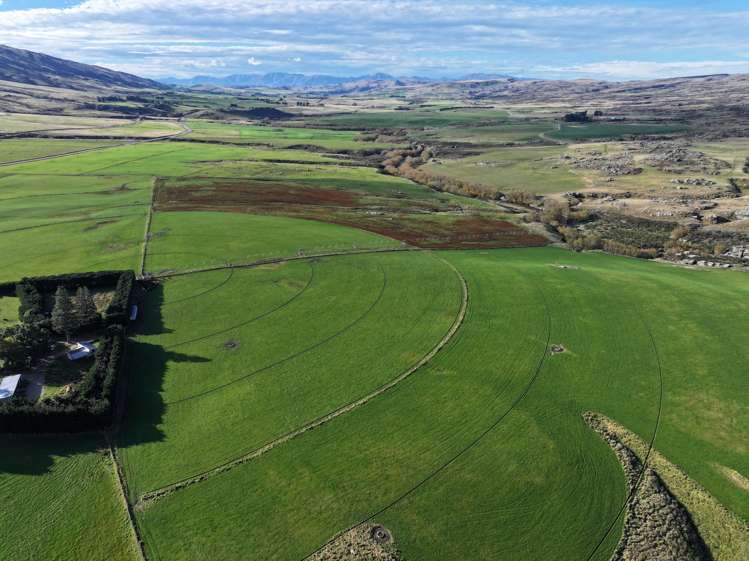 7797 Hyde-Middlemarch Road Middlemarch_16