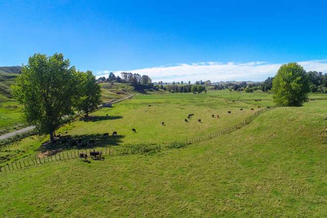 73 Rimu Road Ohura_3