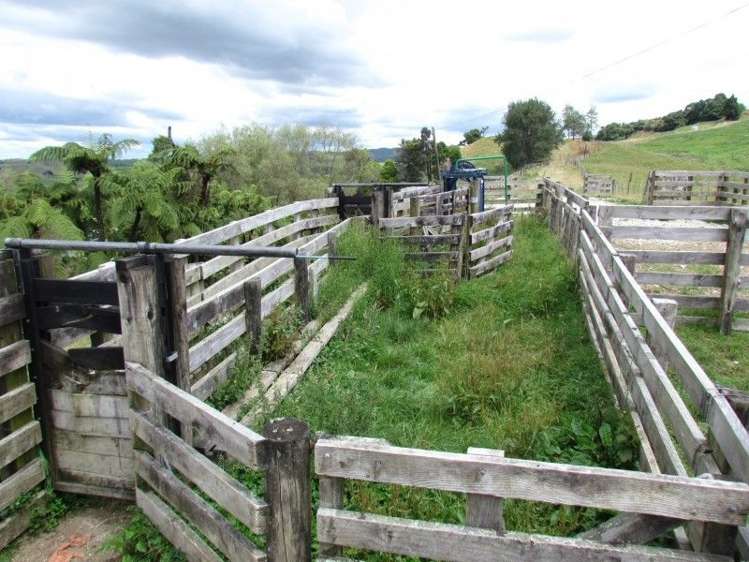 531 Boddie Road Te Kuiti_2