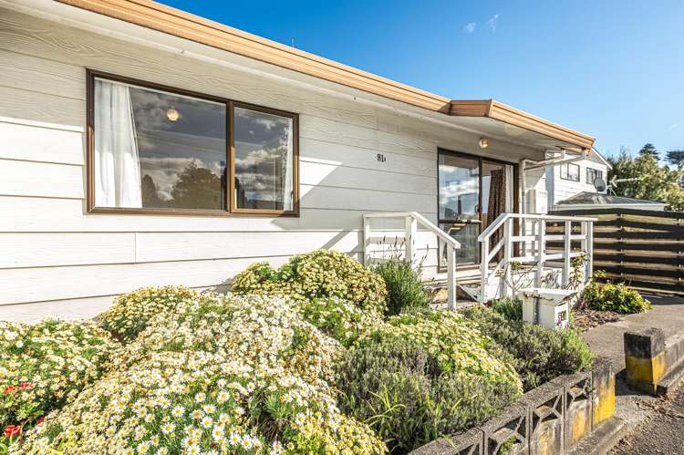 81A Campbell Street Whanganui_4