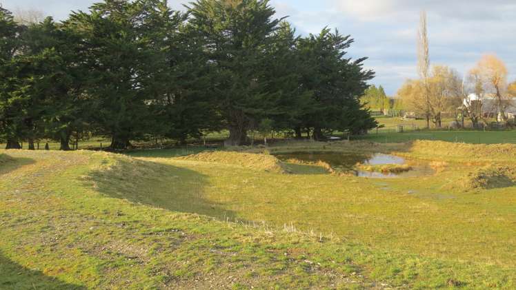 59 Oldfields Road Fairlie_11