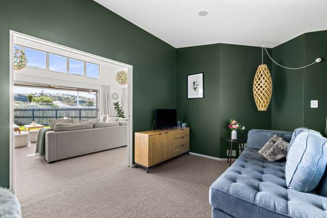 15 Higgins Street Marewa_4
