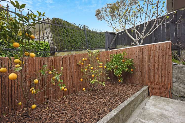 66a Quebec Road Washington Valley_16