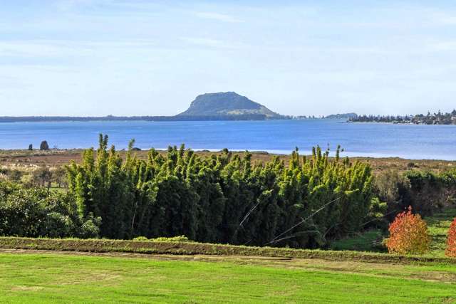 137 Lochhead Road Te Puna_2