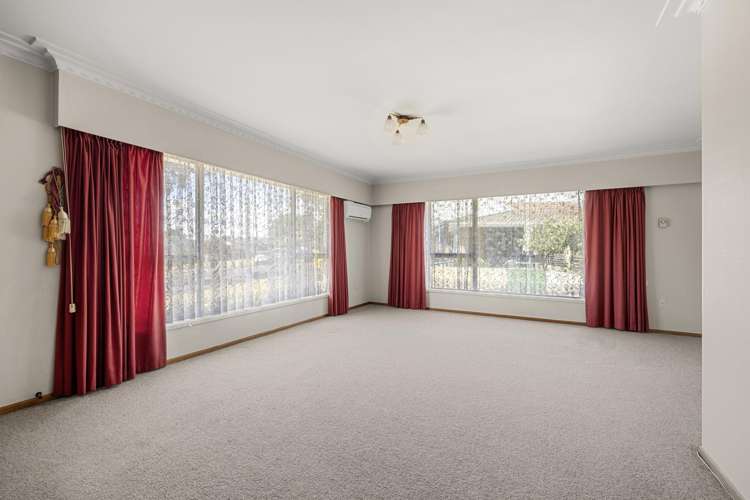 24 Young Street Te Awamutu_5